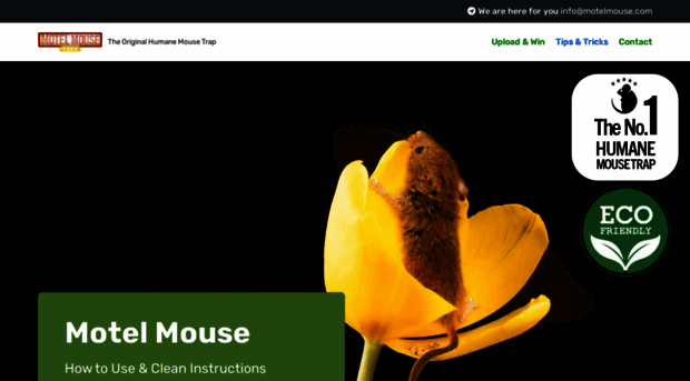 motelmouse.com