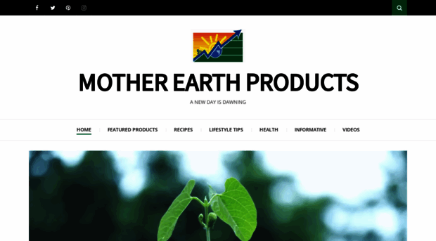 motherearthproductsblog.com