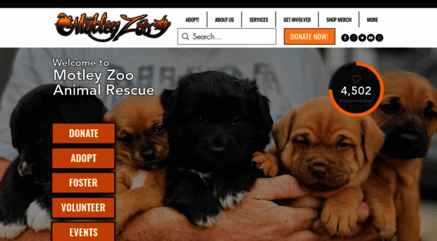 motleyzooanimalrescue.org