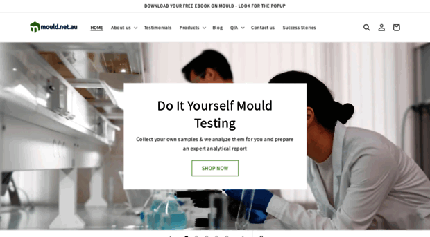 mould.net.au