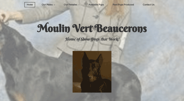 moulinvertbeaucerons.com