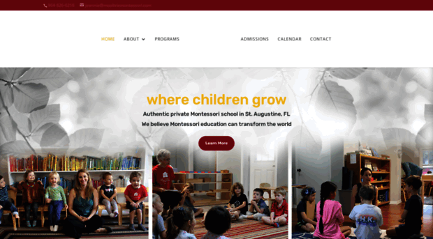 moultriemontessori.com