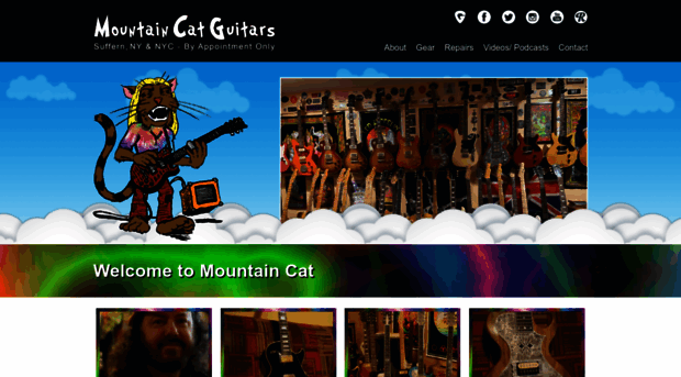 mountaincatguitars.com