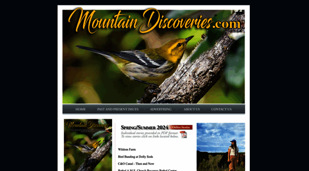 mountaindiscoveries.com