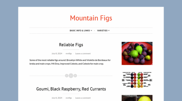 mountainfigs.net