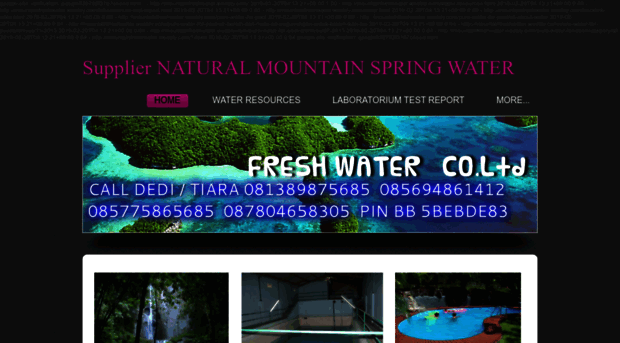 mountainfreshwater.weebly.com