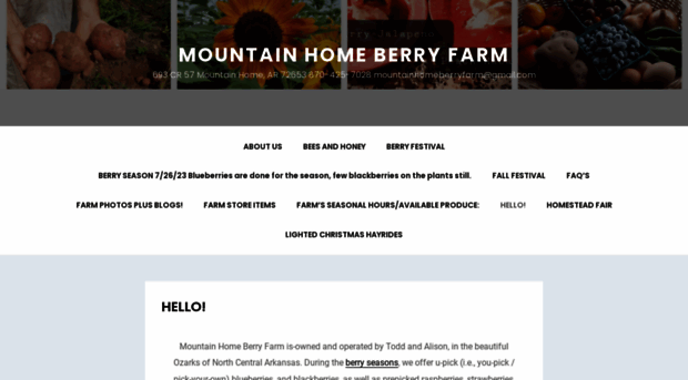 mountainhomeberryfarm.com