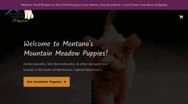 mountainmeadowpuppies.com