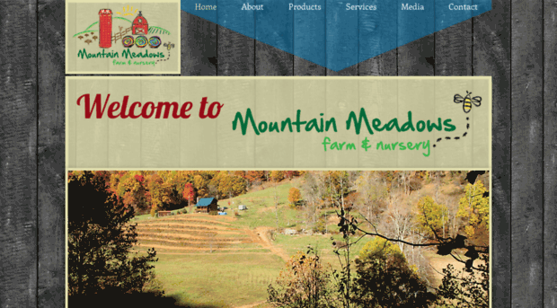 mountainmeadowsnc.com
