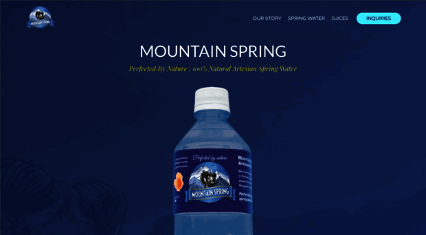 mountainspring.co