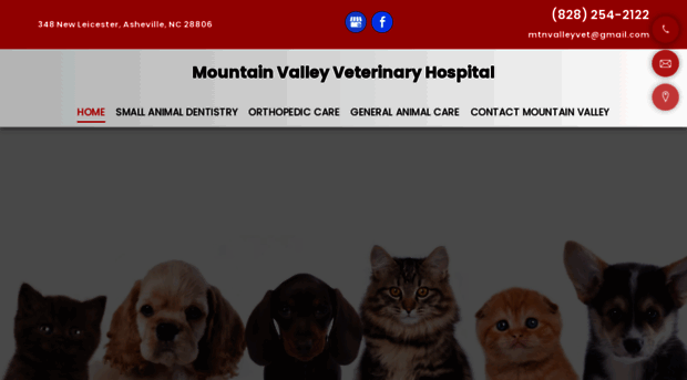 mountainvalleyvet.com