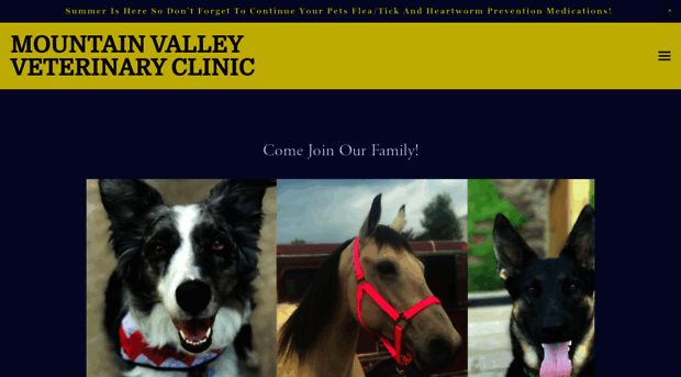 mountainvalleyveterinaryclinicwv.com