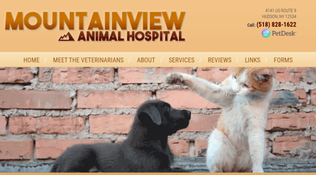 mountainviewanimalhospital.net