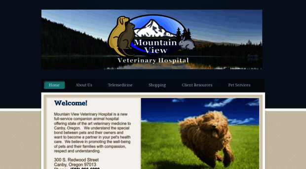 mountainviewvethospital.com