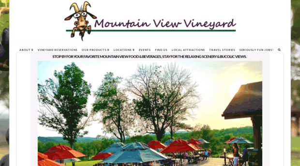 mountainviewvineyardpa.com