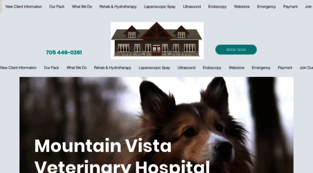 mountainvistavet.com