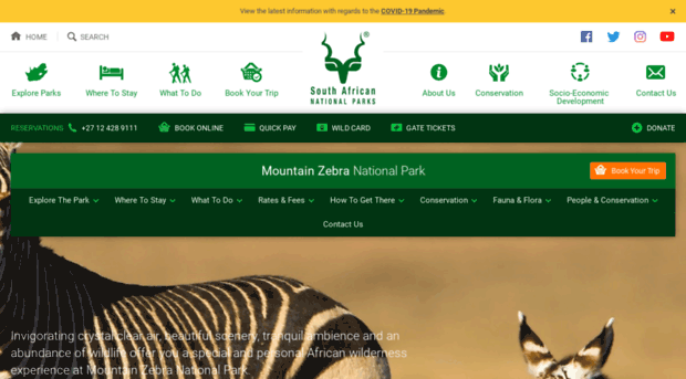 mountainzebrapark.com