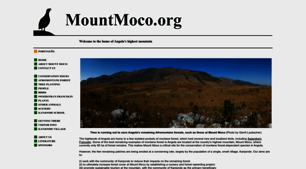 mountmoco.org