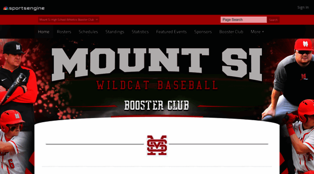 mountsibaseball.com