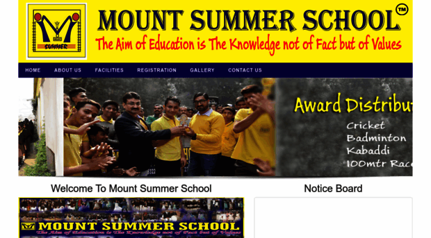 mountsummer.in