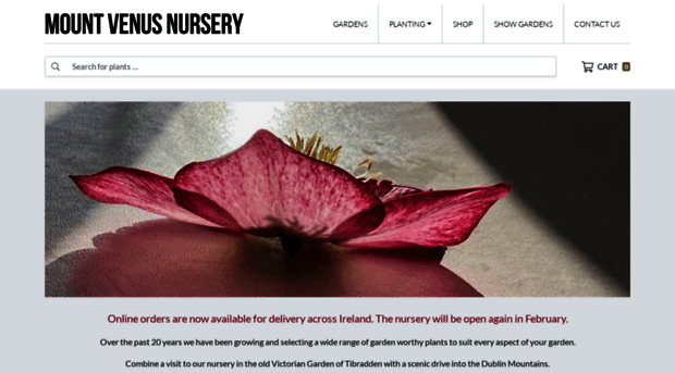 mountvenusnursery.com