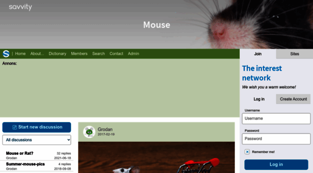 mouse.savvity.net