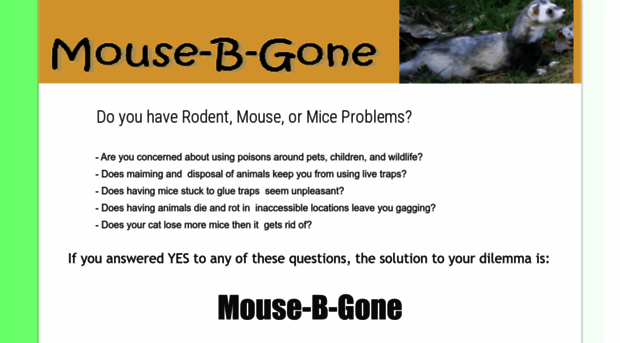 mousebgone.com