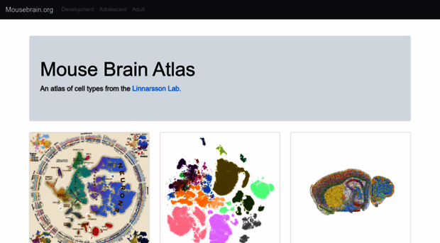 mousebrain.org