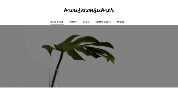 mouseconsumer.weebly.com