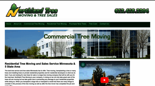 movebigtreesmn.com