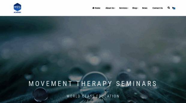 movementtherapystudio.com