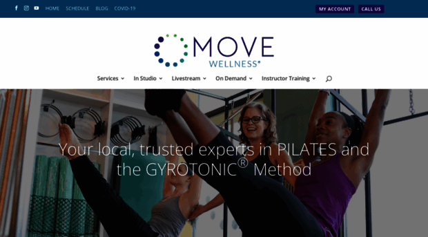 movewellness.com