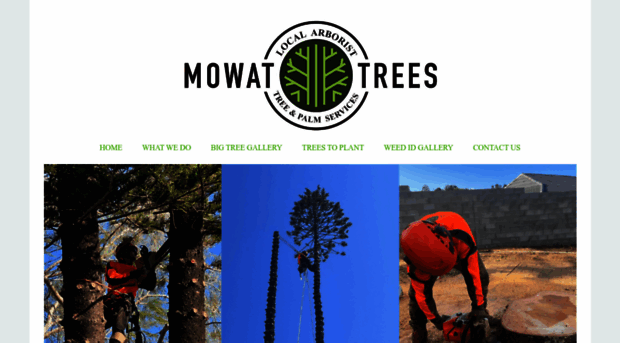 mowattrees.com.au