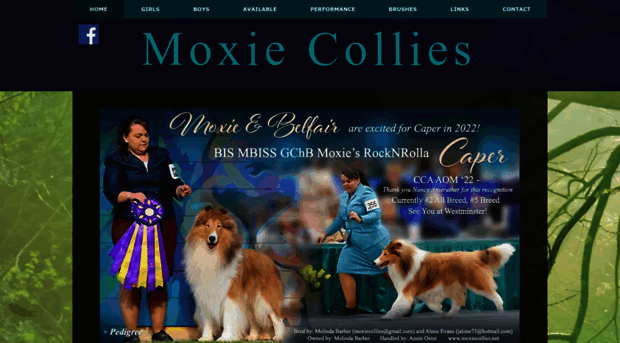 moxiecollies.net