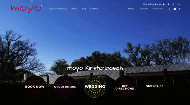 moyo.com