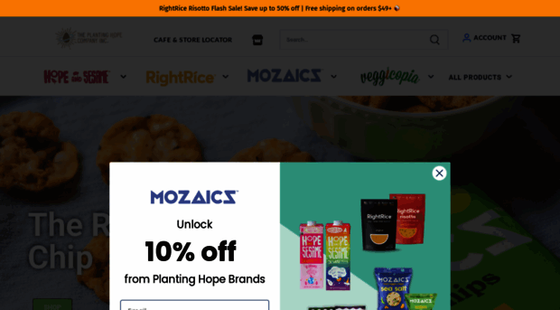 mozaicschips.com