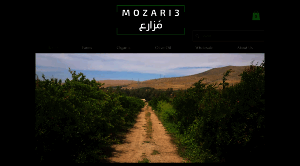 mozari3.com