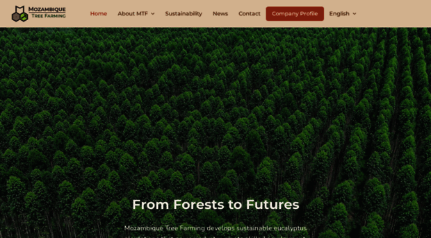 moztimber.com