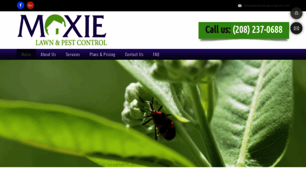 mr-exterminator.com