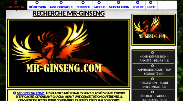mr-ginseng.com