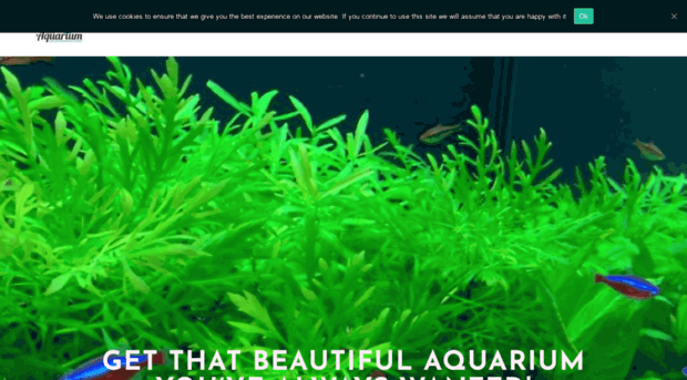 mraquarium.co.uk