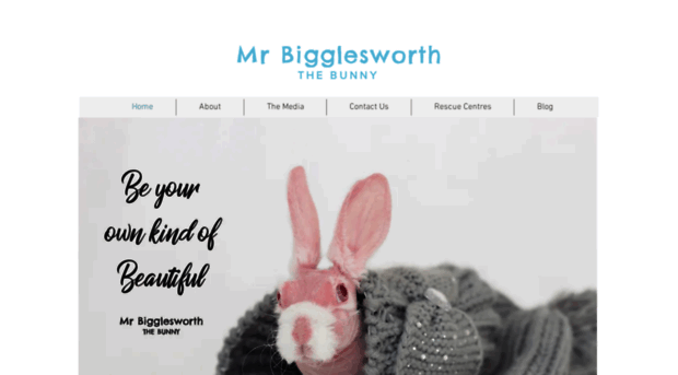 mrbigglesworththebunny.com