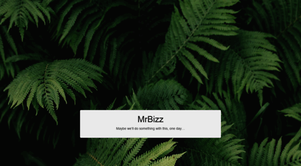 mrbizz.com