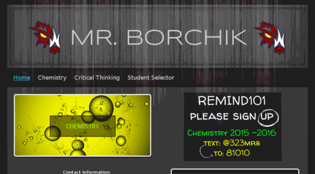 mrborchik.synthasite.com