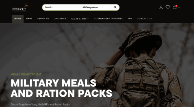mre-international.com