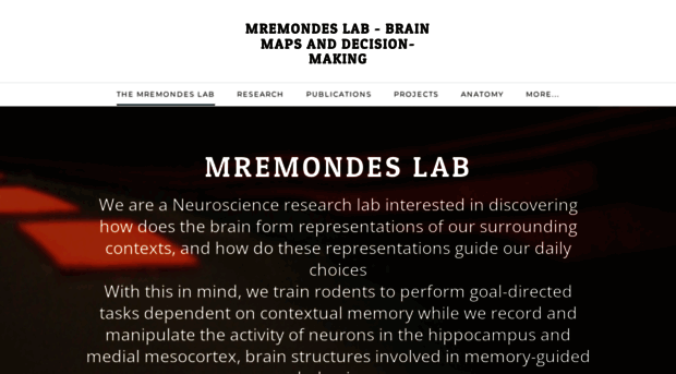 mremondes-brainmaps.weebly.com