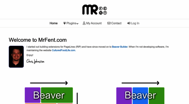 mrfent.com