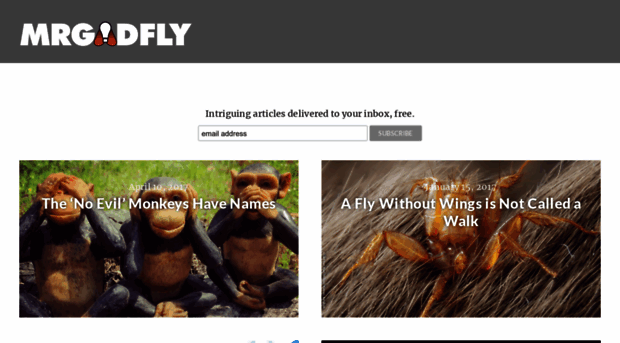 mrgadfly.com