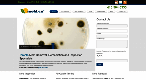 mri-mold.ca