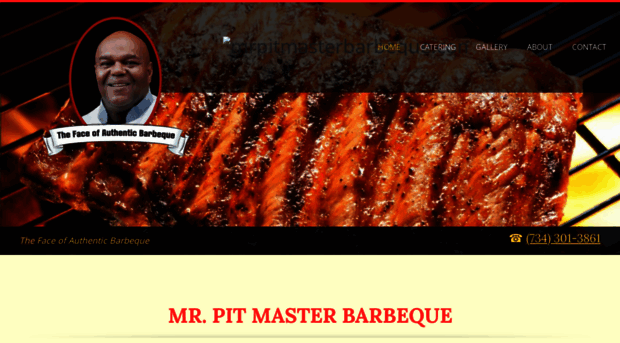 mrpitmasterbarbeque.com